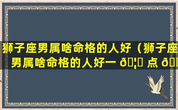 狮子座男属啥命格的人好（狮子座男属啥命格的人好一 🦈 点 🐯 ）